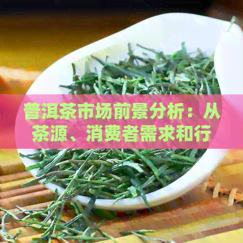 普洱茶市场前景分析：从茶源、消费者需求和行业趋势等多个角度探讨