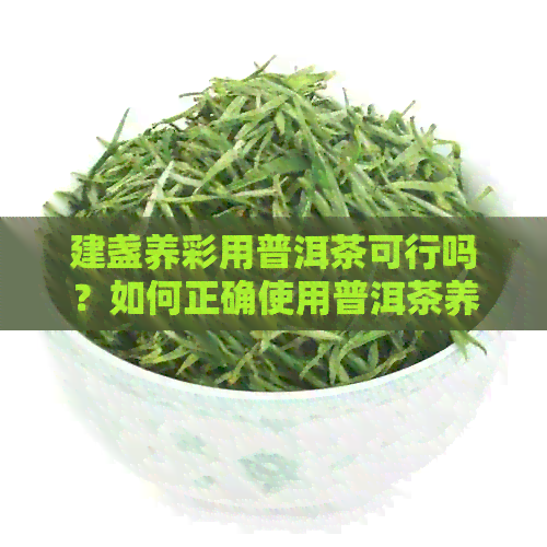 建盏养彩用普洱茶可行吗？如何正确使用普洱茶养护建盏？