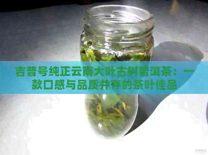 吉普号纯正云南大叶古树普洱茶：一款口感与品质并存的茶叶佳品