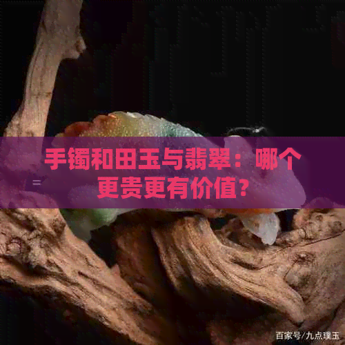 手镯和田玉与翡翠：哪个更贵更有价值？