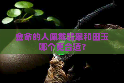 金命的人佩戴翡翠和田玉哪个更合适？