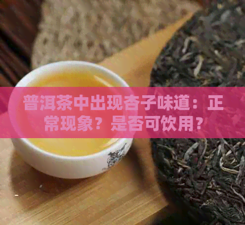 普洱茶中出现杏子味道：正常现象？是否可饮用？