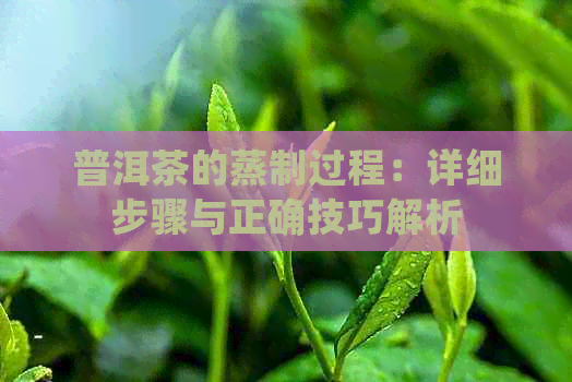 普洱茶的蒸制过程：详细步骤与正确技巧解析