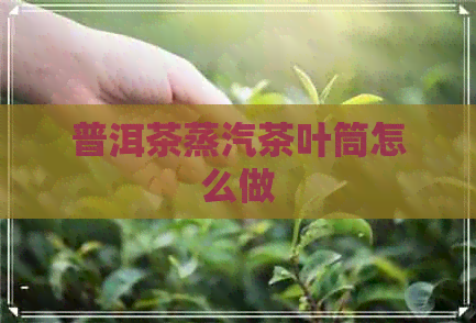 普洱茶蒸汽茶叶筒怎么做