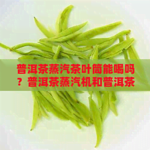 普洱茶蒸汽茶叶筒能喝吗？普洱茶蒸汽机和普洱茶能用蒸汽壶煮吗？有效果吗？