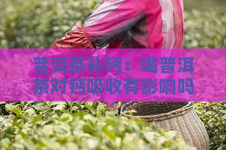 普洱茶补钙：喝普洱茶对钙吸收有影响吗？