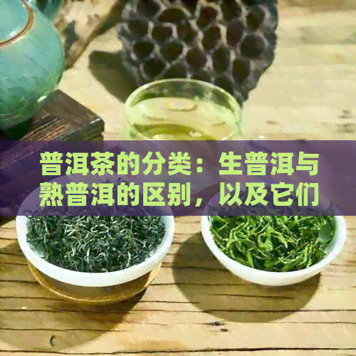 普洱茶的分类：生普洱与熟普洱的区别，以及它们属于哪一类绿茶？