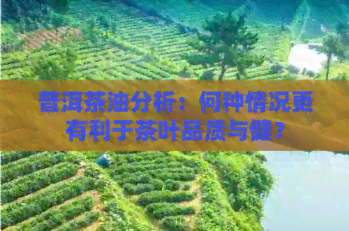 普洱茶油分析：何种情况更有利于茶叶品质与健？