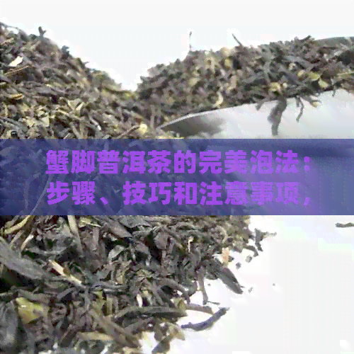 蟹脚普洱茶的完美泡法：步骤、技巧和注意事项，让您品尝到的茶香