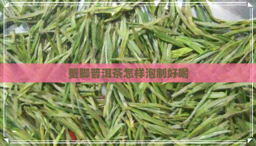 蟹脚普洱茶怎样泡制好喝