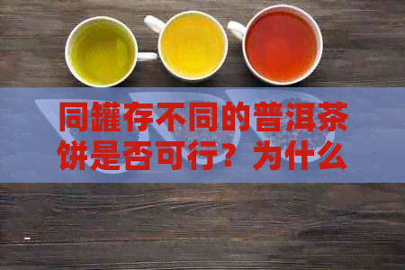 同罐存不同的普洱茶饼是否可行？为什么？