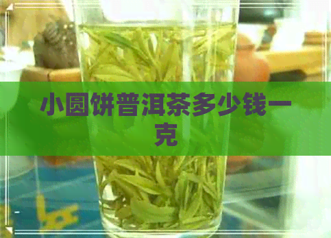 小圆饼普洱茶多少钱一克