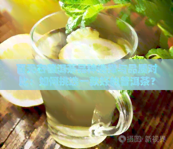 百元右普洱茶品种选择与品质对比：如何挑选一款好的普洱茶？