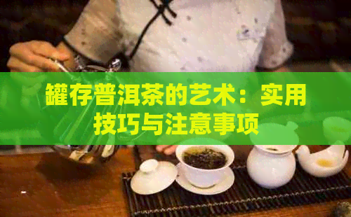 罐存普洱茶的艺术：实用技巧与注意事项