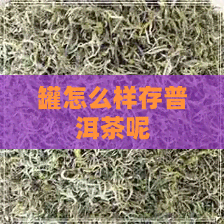 罐怎么样存普洱茶呢