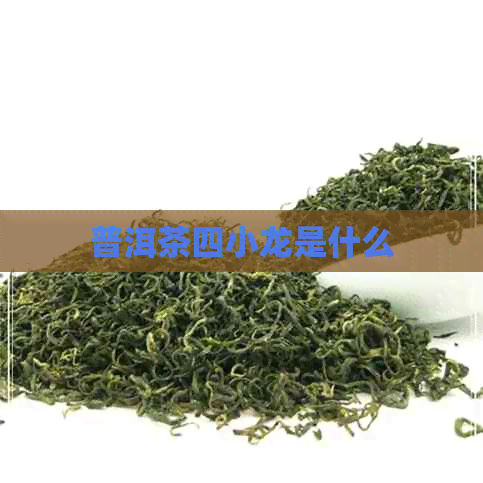 普洱茶四小龙是什么