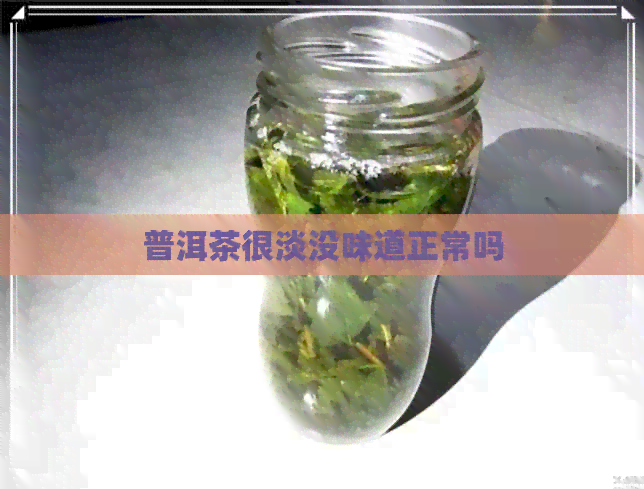 普洱茶很淡没味道正常吗