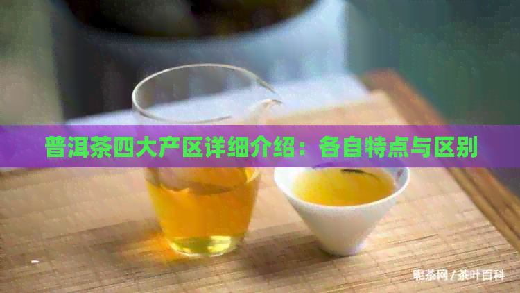 普洱茶四大产区详细介绍：各自特点与区别