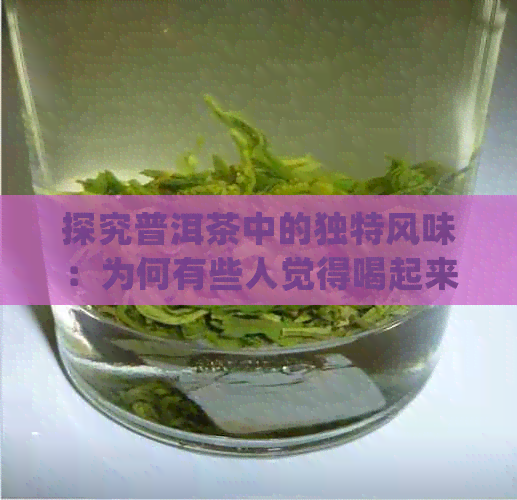 探究普洱茶中的独特风味：为何有些人觉得喝起来没有味道？