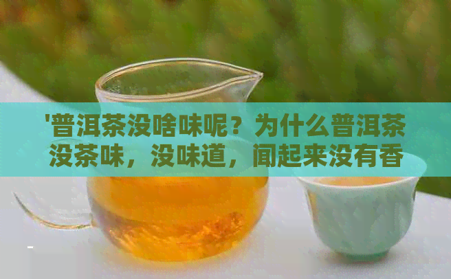 '普洱茶没啥味呢？为什么普洱茶没茶味，没味道，闻起来没有香味？'