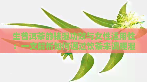 生普洱茶的祛湿功效与女性适用性：一文解析如何通过饮茶来调理湿热体质