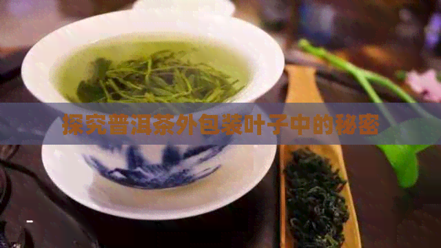 探究普洱茶外包装叶子中的秘密