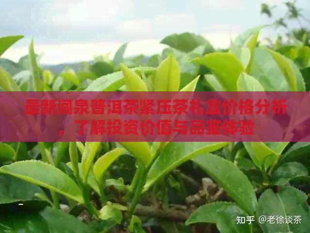 最新闻泉普洱茶紧压茶礼盒价格分析，了解投资价值与品鉴体验