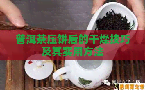 普洱茶压饼后的干燥技巧及其实用方法