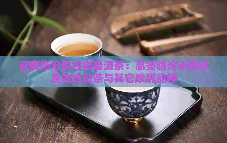 云南临沧的古树普洱茶：品鉴临沧市更优质的冰岛茶与其它珍稀品种