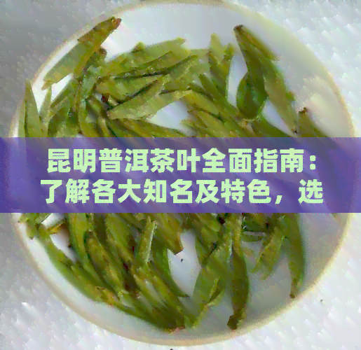 昆明普洱茶叶全面指南：了解各大知名及特色，选出最适合你的茶叶