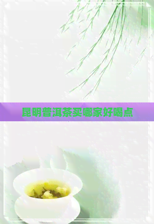 昆明普洱茶买哪家好喝点