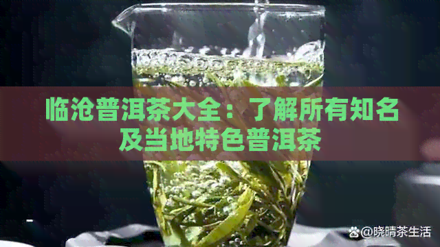 临沧普洱茶大全：了解所有知名及当地特色普洱茶