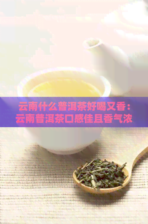 云南什么普洱茶好喝又香：云南普洱茶口感佳且香气浓，你不妨尝试一下。