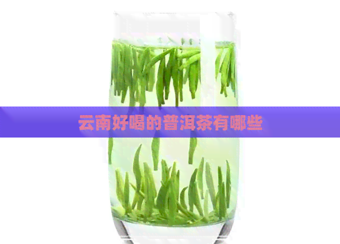 云南好喝的普洱茶有哪些