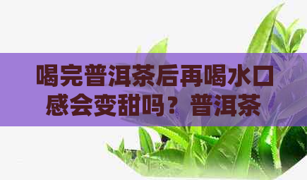 喝完普洱茶后再喝水口感会变甜吗？普洱茶对水的影响及相关注意事项