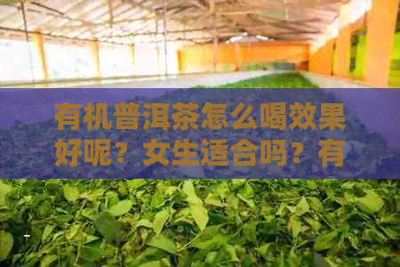 有机普洱茶怎么喝效果好呢？女生适合吗？有机普洱茶叶的含义与选择