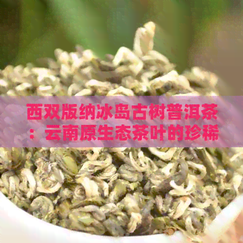 西双版纳冰岛古树普洱茶：云南原生态茶叶的珍稀魅力