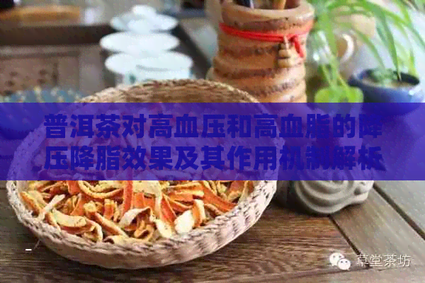 普洱茶对高血压和高血脂的降压降脂效果及其作用机制解析