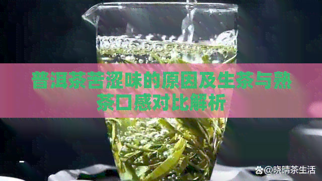 普洱茶苦涩味的原因及生茶与熟茶口感对比解析