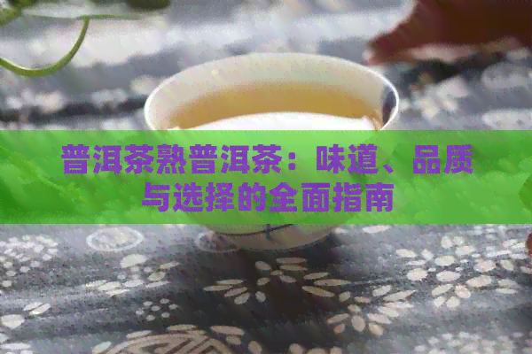 普洱茶熟普洱茶：味道、品质与选择的全面指南