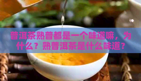 普洱茶熟普都是一个味道嘛，为什么？熟普洱茶是什么味道？