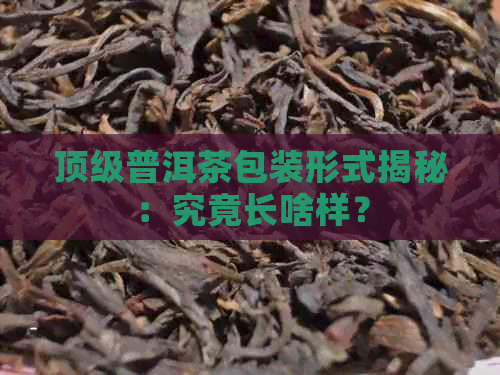 顶级普洱茶包装形式揭秘：究竟长啥样？