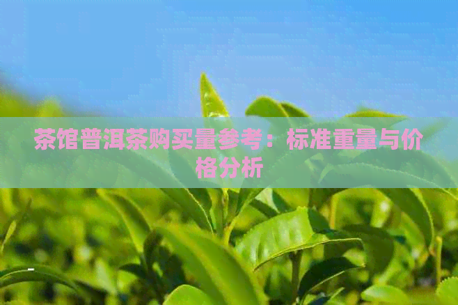 茶馆普洱茶购买量参考：标准重量与价格分析