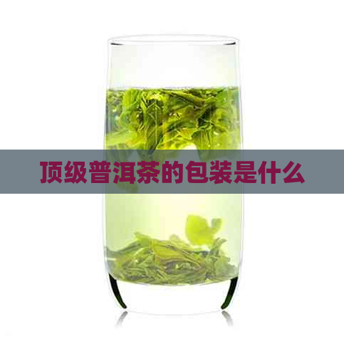 顶级普洱茶的包装是什么