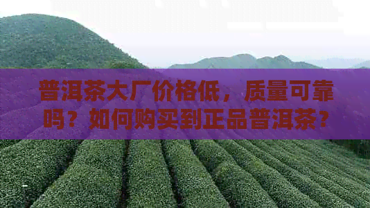 普洱茶大厂价格低，质量可靠吗？如何购买到正品普洱茶？