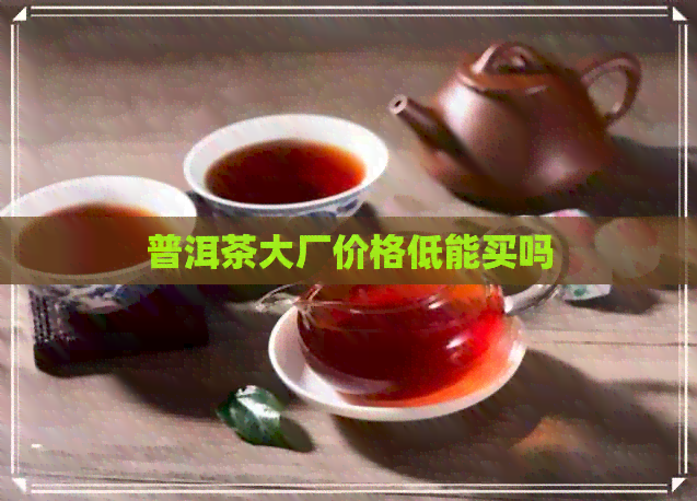 普洱茶大厂价格低能买吗