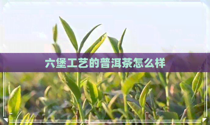 六堡工艺的普洱茶怎么样