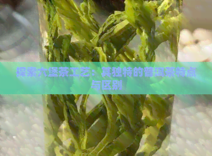 探索六堡茶工艺：其独特的普洱茶特点与区别