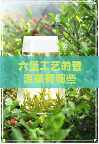 六堡工艺的普洱茶有哪些