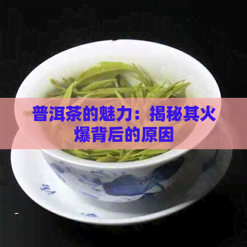 普洱茶的魅力：揭秘其火爆背后的原因